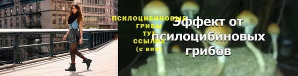 дживик Каменск-Шахтинский
