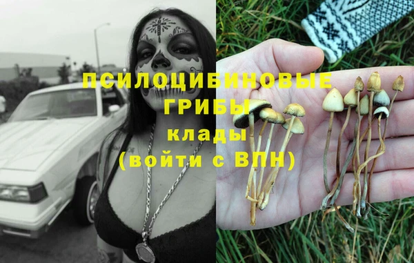 спайс Каменногорск