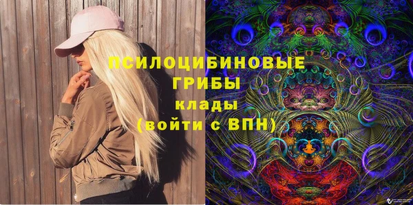 спайс Каменногорск