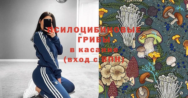спайс Каменногорск