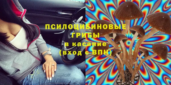 спайс Каменногорск